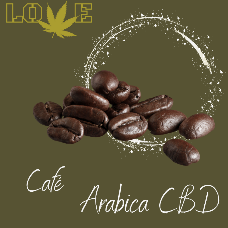 Café Arabica CBD